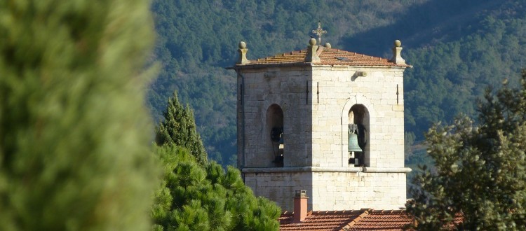 Le clocher de la Collégiale