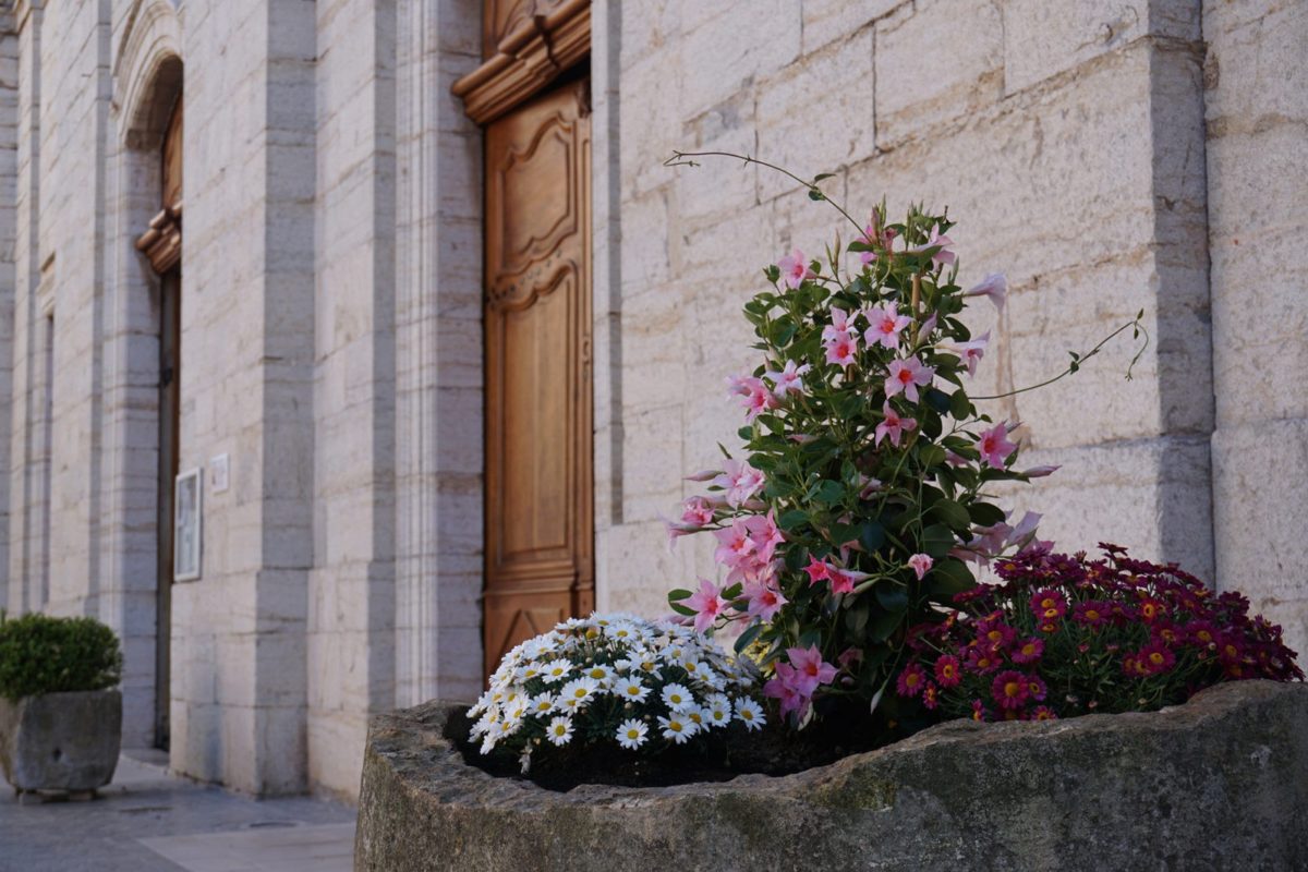 [Photos] Fleurissement de l’entrée de la collégiale