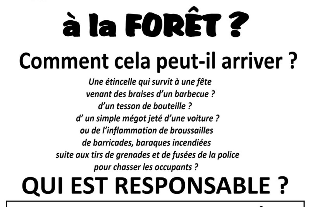 13 juillet – Spectacle « Ça chauffe en forêt »