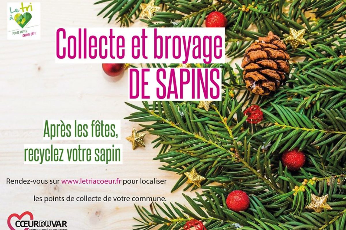 Collecte et broyage des sapins 2020