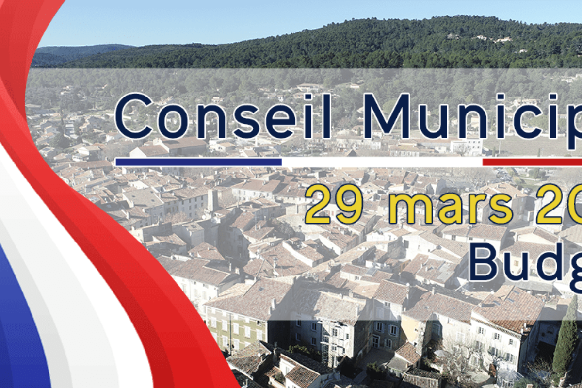 📹 29 mars 2021 – Conseil municipal – Budget