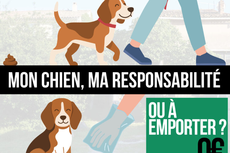 Affiche : Affiche dejection canines