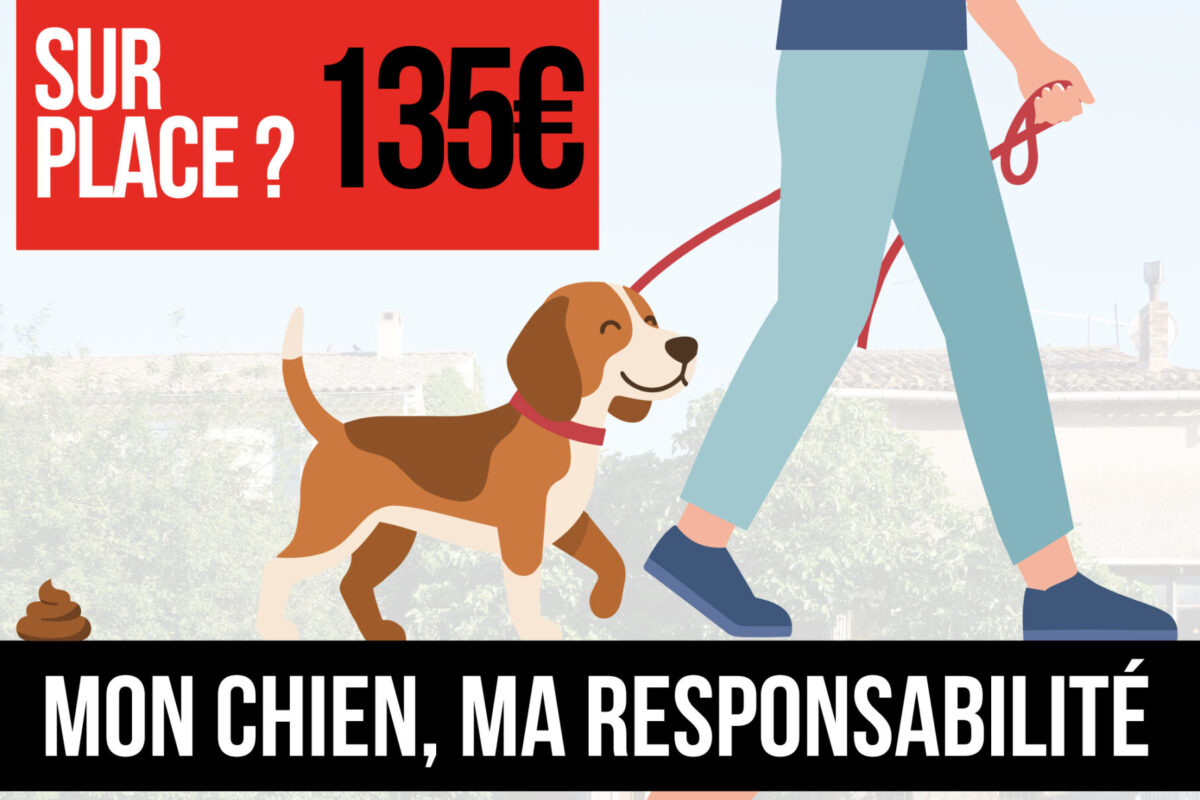 ð¶ Déjections canines : un geste simple pour un village plus propre
