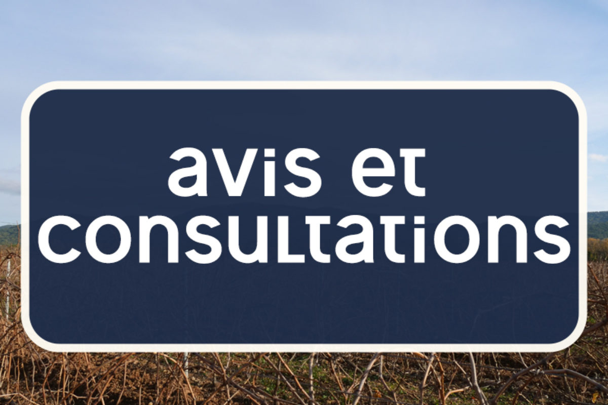 AVIS DE PUBLICITE ET CONSULTATION – Foodtruck place des écoles