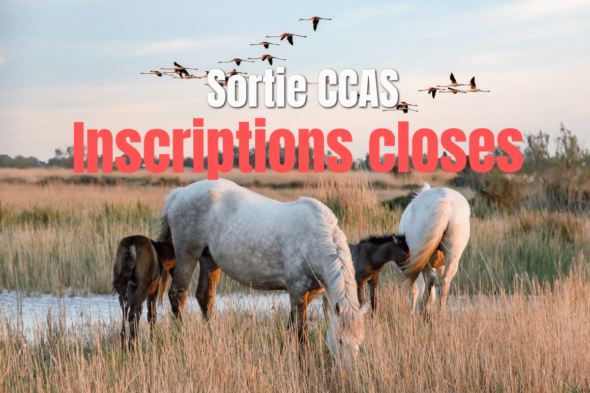 Inscriptions closes pour la sortie CCAS en camargue du 2 juin