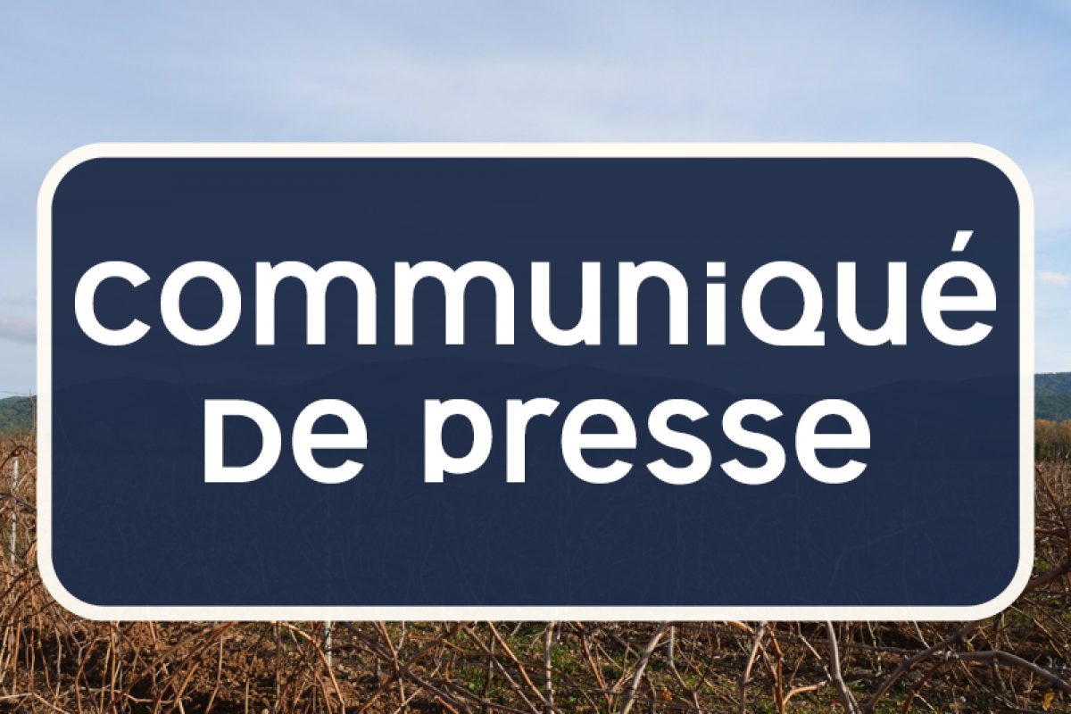COMMUNIQUÉ DE PRESSE – février 2025