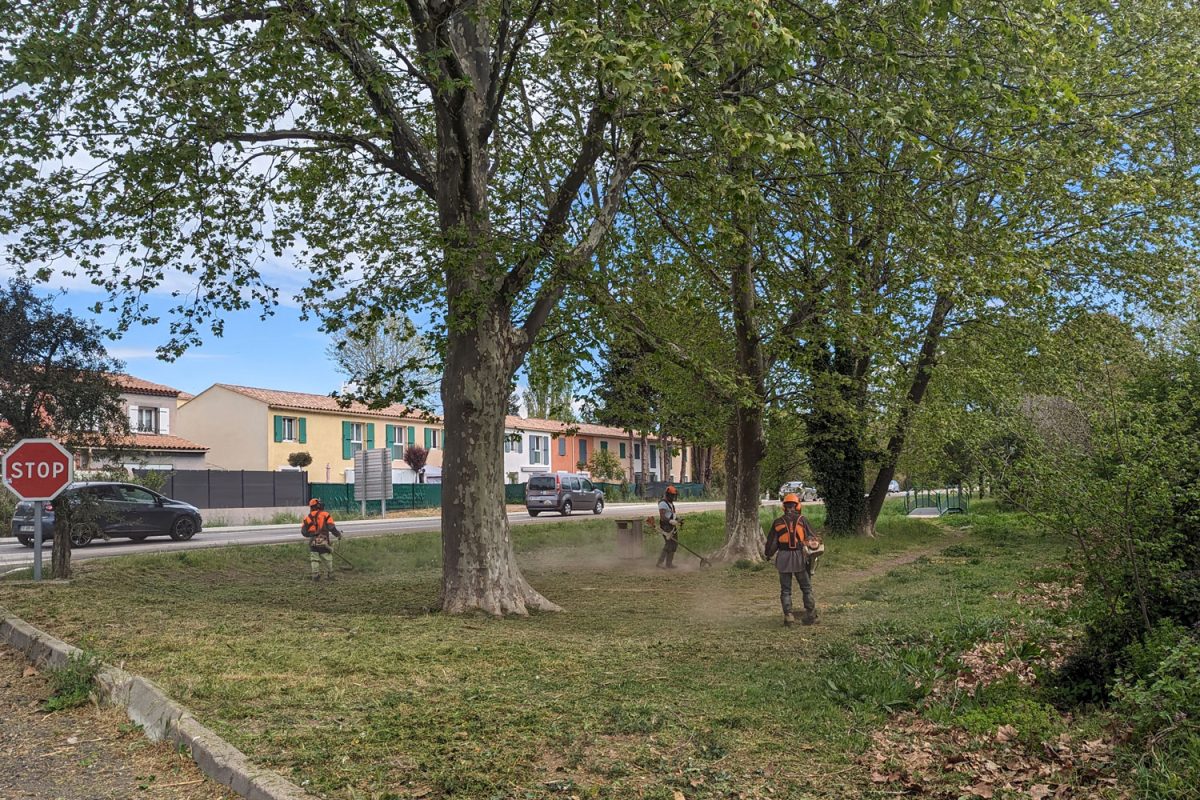 La campagne de débroussaillement débute cette semaine