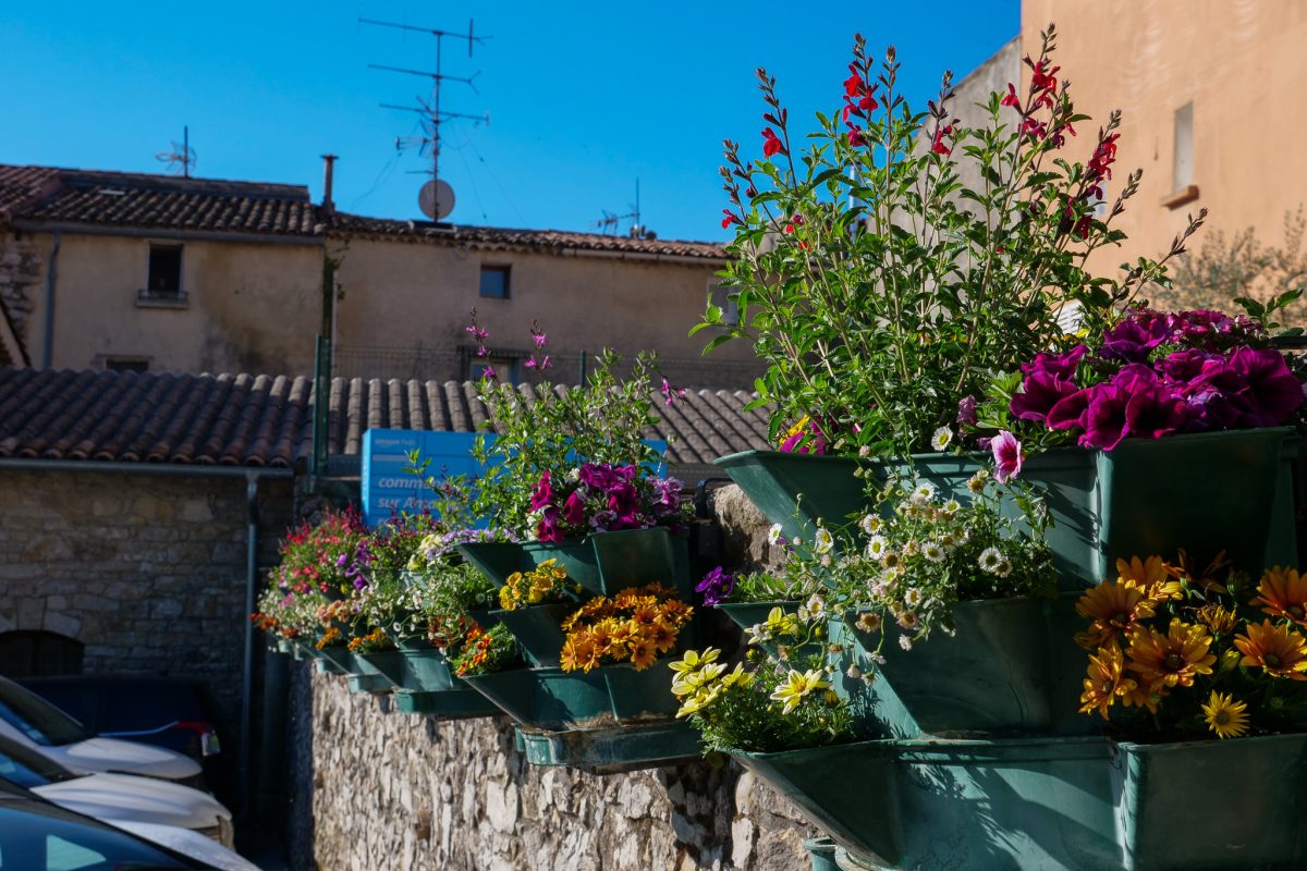 La foire aux plants revient ce dimanche dans un Pignans en fleurs !