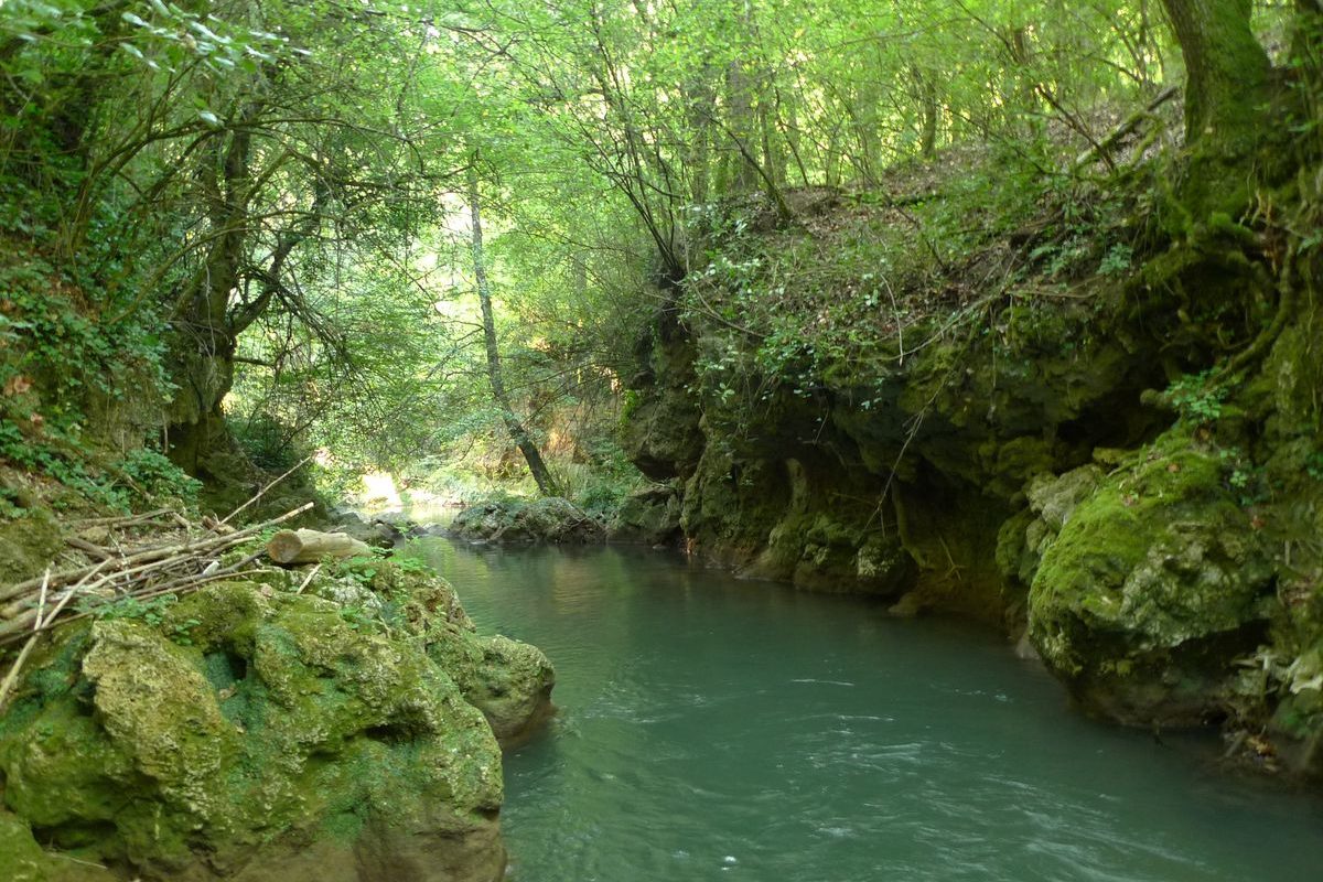 Entretien des cours d’eau du bassin versant du gapeau