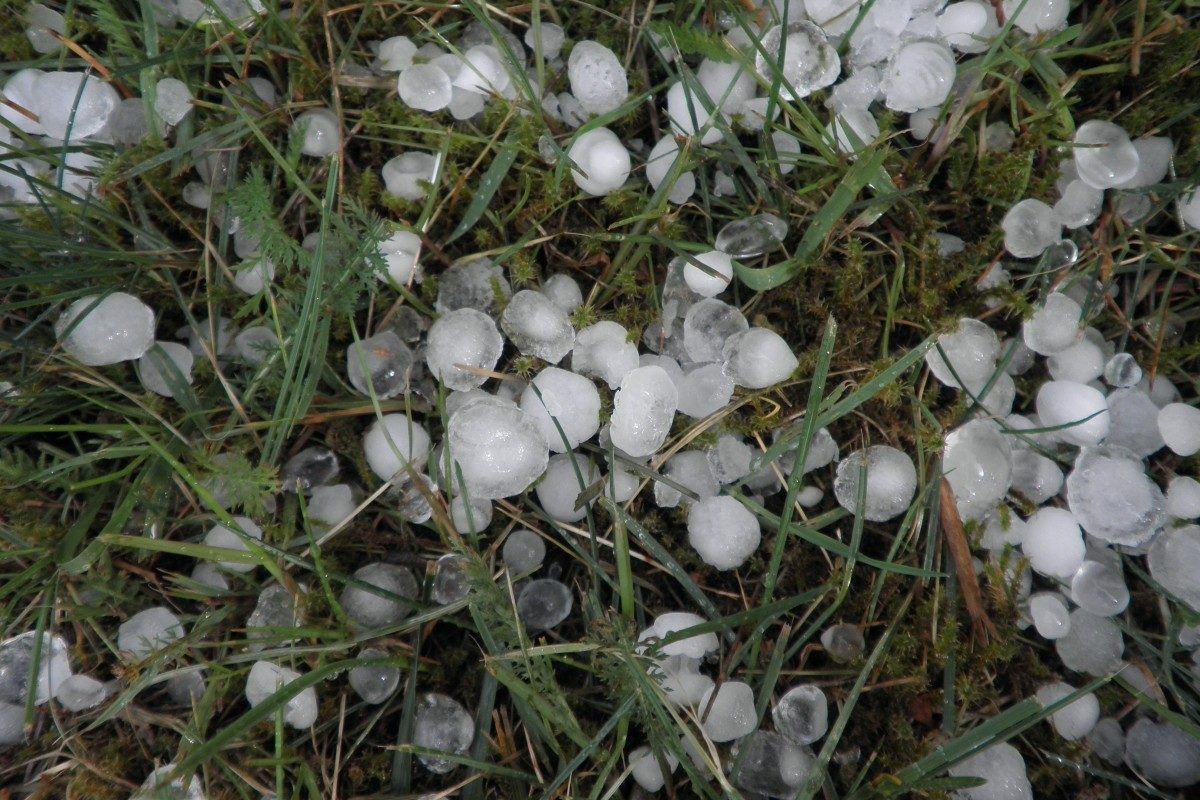 Orages de grêle : dispositif mis en place par la MSA