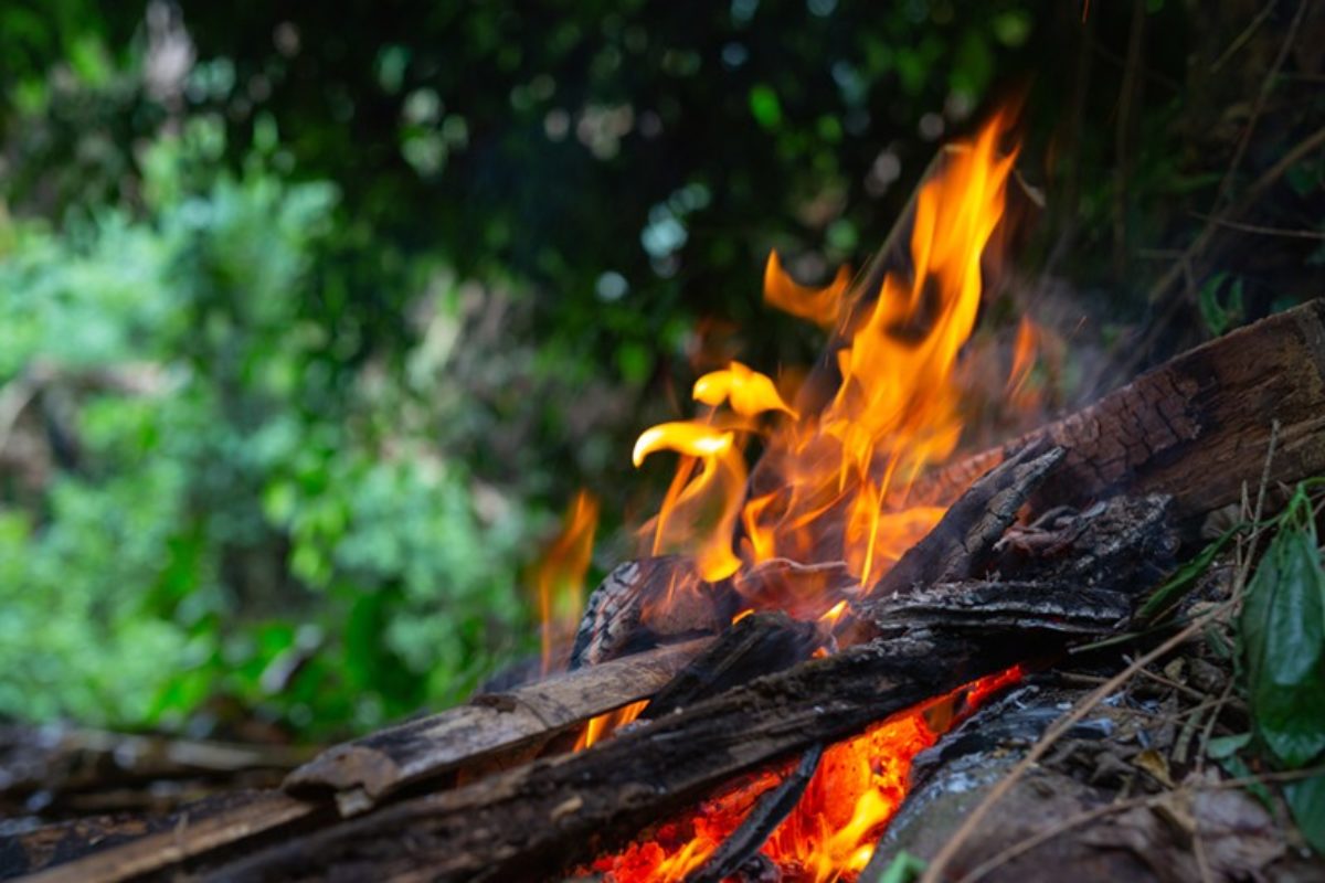 Emploi du feu pour les particuliers