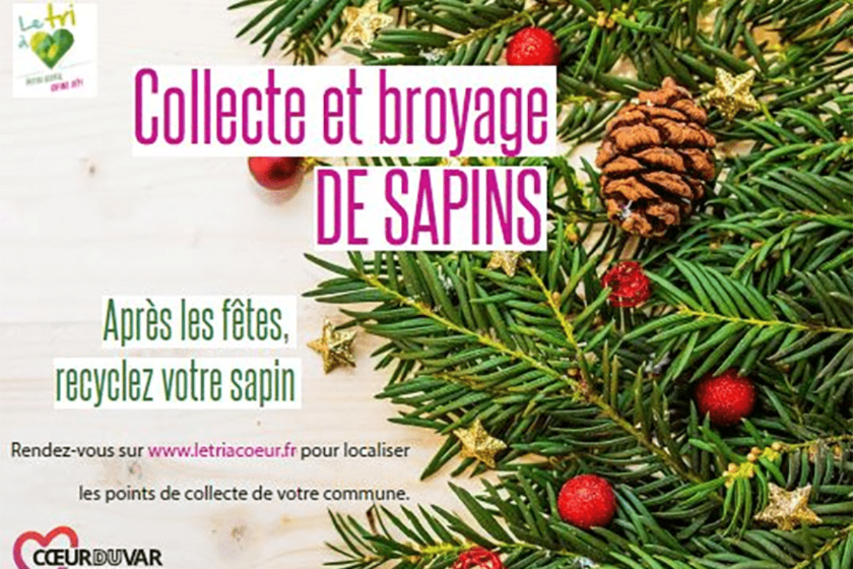 Collecte et broyage de sapins