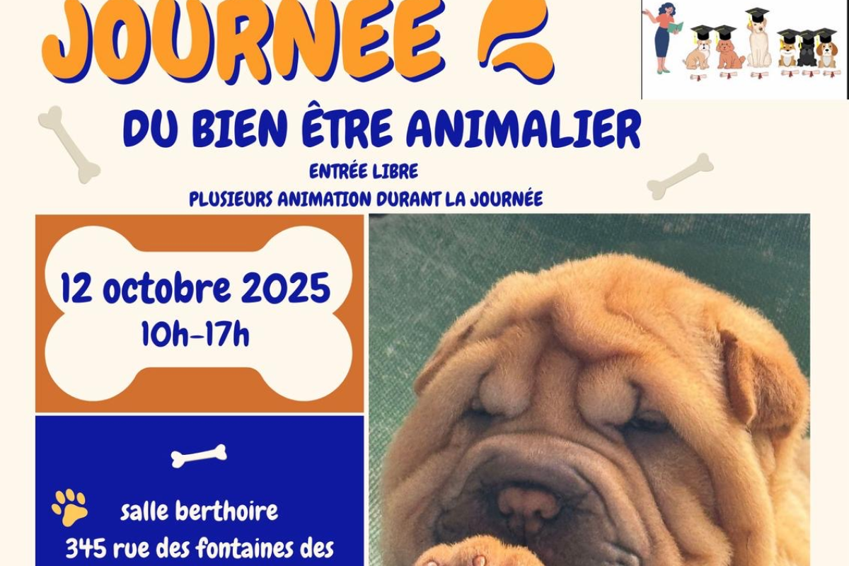 12 oct. – Journée du bien être animalier