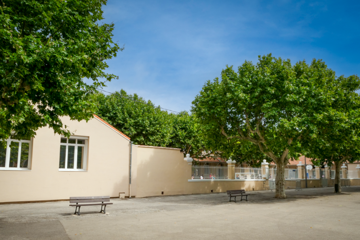 [Information travaux] Traitement des platanes mardi 23 juin