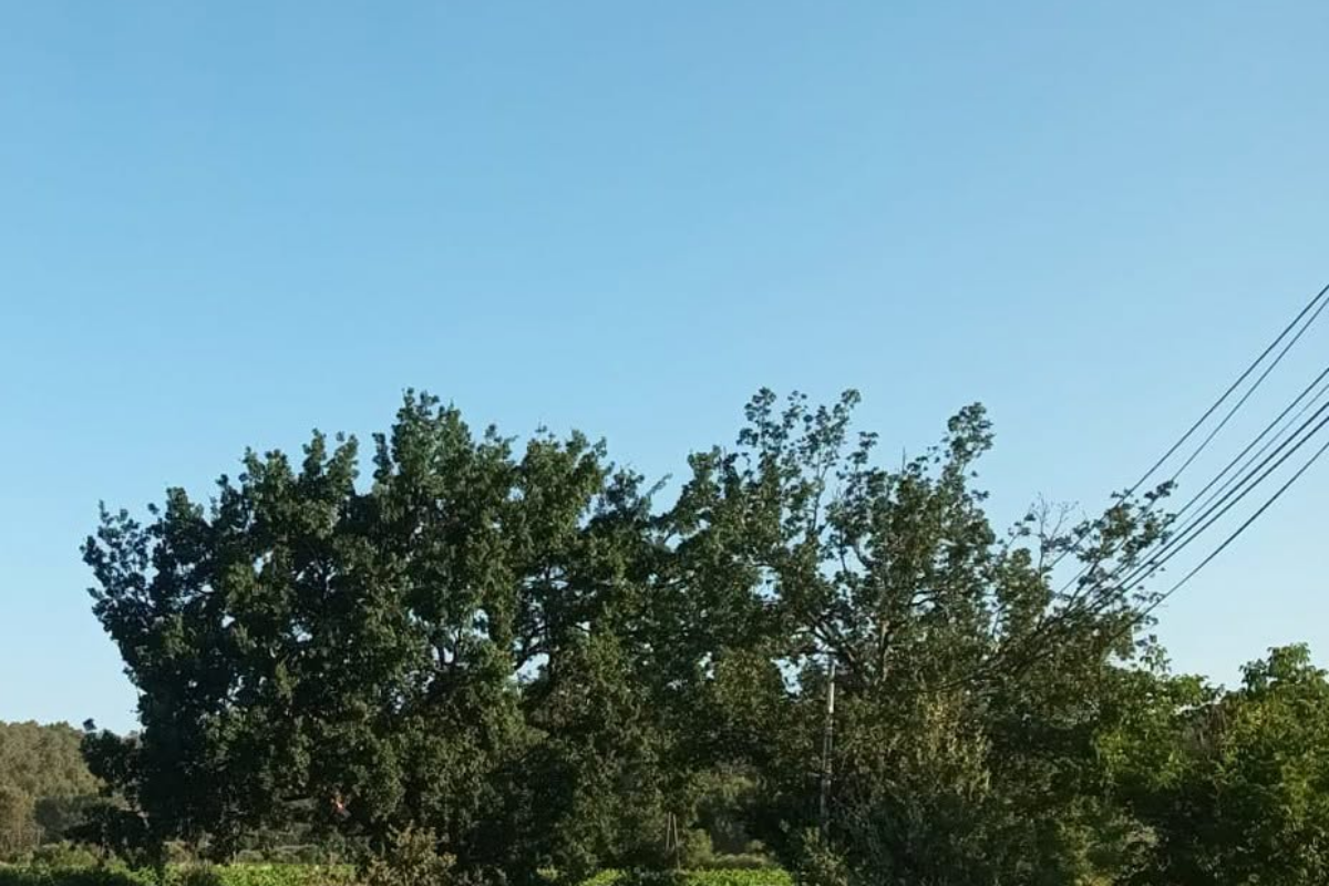 Travaux de réfection des chemins en bicouche