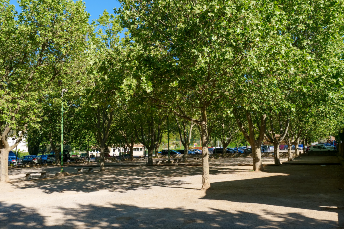 [Information travaux] Traitement des platanes mardi 21 juillet