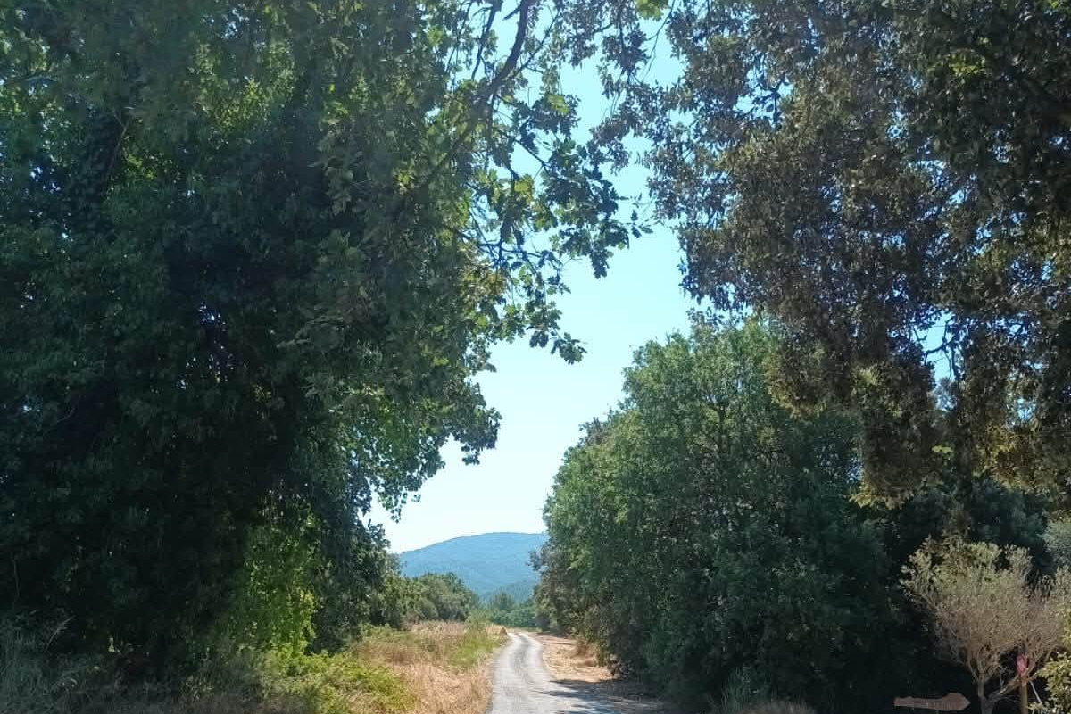 ð§Point d’étape sur les travaux de réfection des chemins en bicouche
