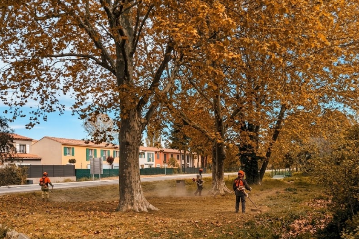 Automne 2026 – Le débroussaillage continue