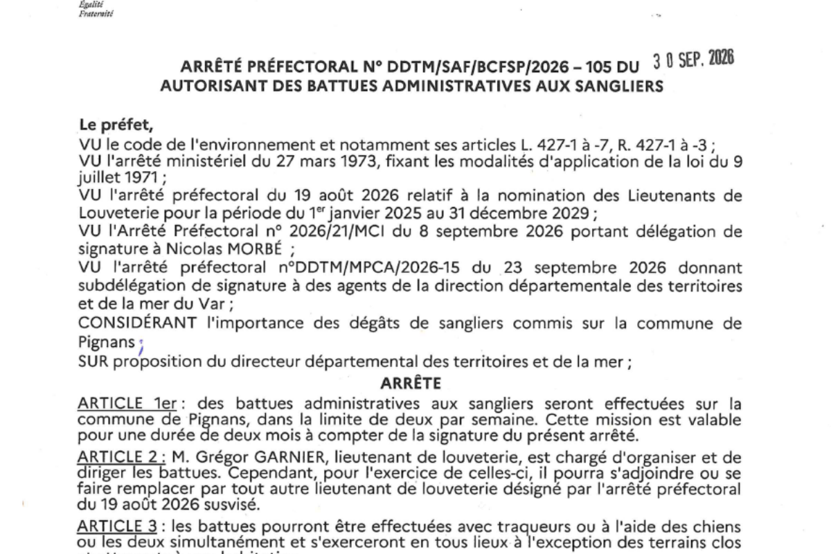 Battues administratives aux sangliers à Pignans jusqu’à fin novembre