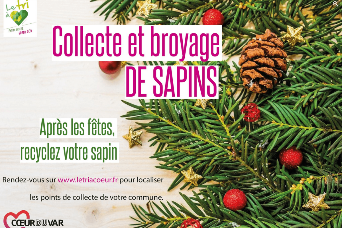 Recyclage des sapins – Noël 2021