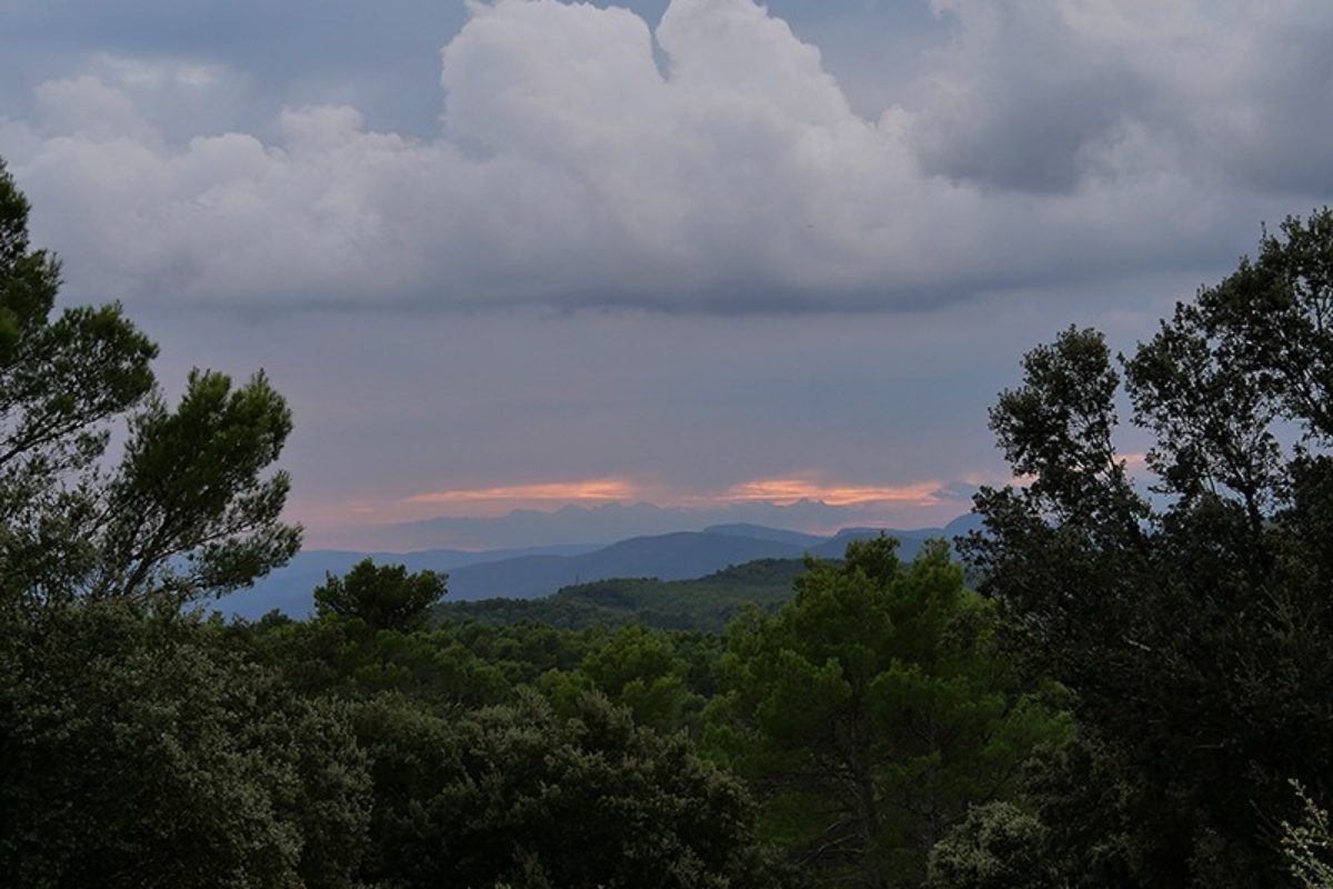 Eté 2019 – Accès au massifs forestiers – Risque incendie