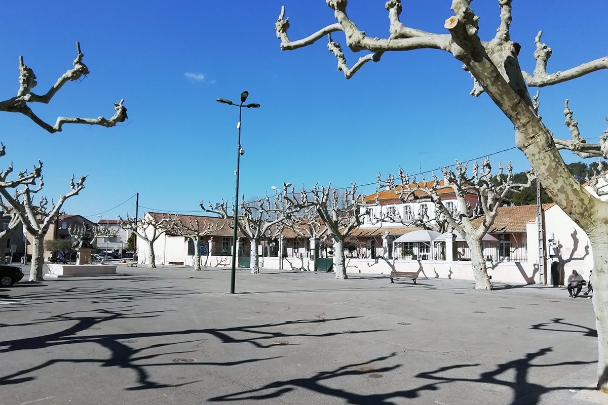 [Information travaux] Traitement des platanes vendredi 5 avril