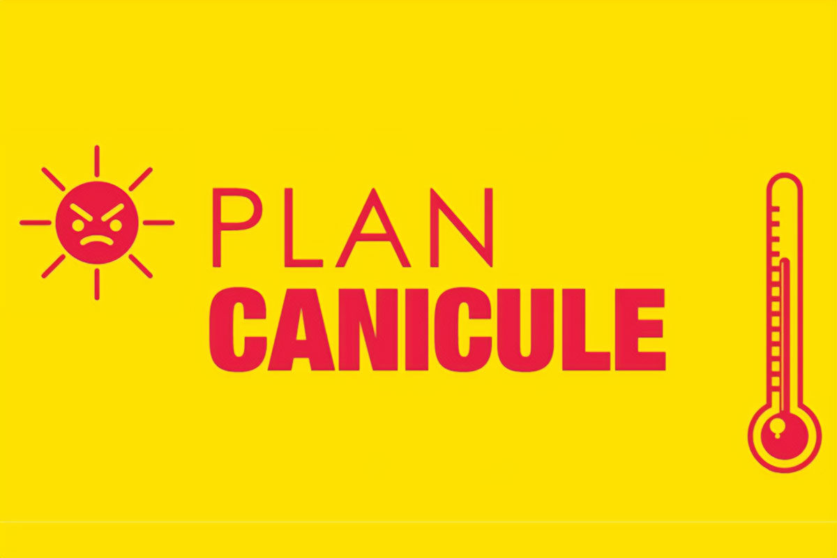 Plan canicule 2024