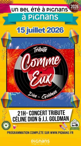 affiche du concert comme eux - hommage à Dion et Goldman
